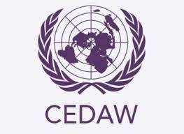 Recomanacions de la CEDAW a Espanya: mirada interseccional i fer front al canvi climàtic amb perspectiva de gènere