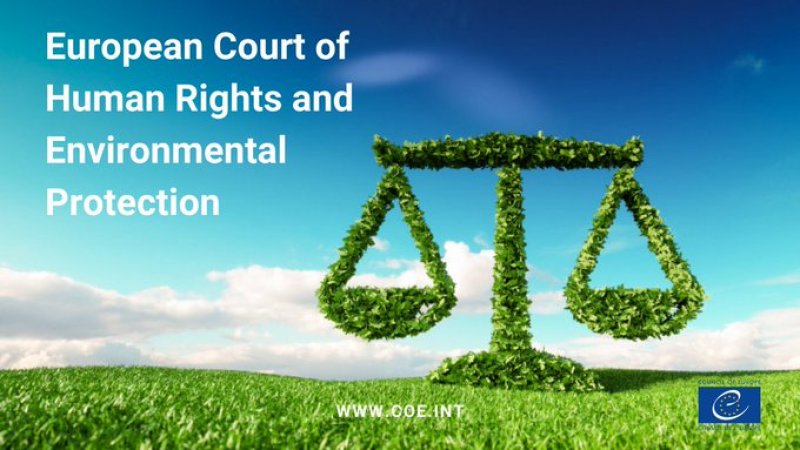 Seminario: La litigación climática ante el Tribunal Europeo de Derechos Humanos