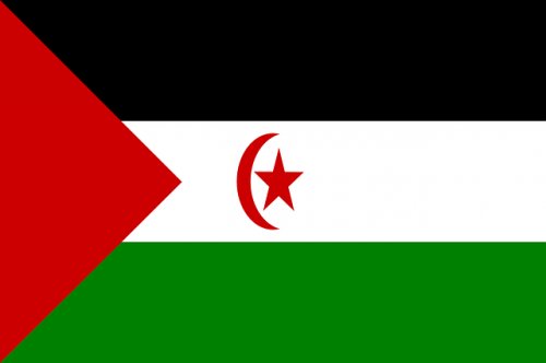 Cicle de Taules Rodones: La situació dels drets humans al Sàhara Occidental. Els territoris ocupats