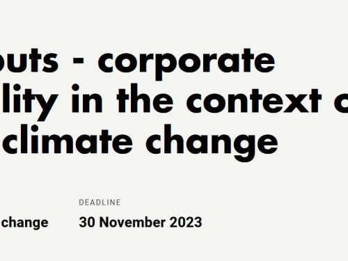 La responsabilidad de las empresas en el contexto de los derechos humanos y el cambio climático 