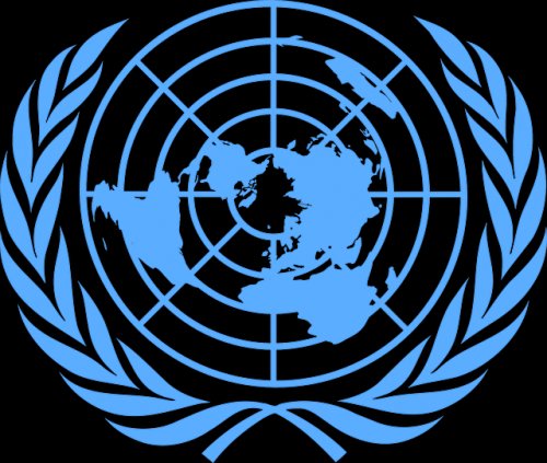 Nacions Unides analitza la situació dels drets humans a l'estat espanyol