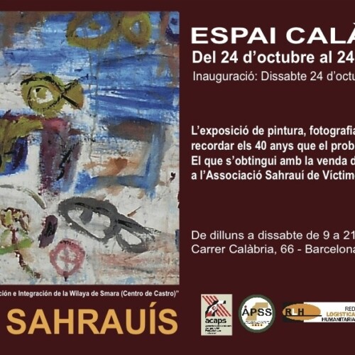 “40 VISIONS SAHARAUÍS, 40 anys en l’oblit”