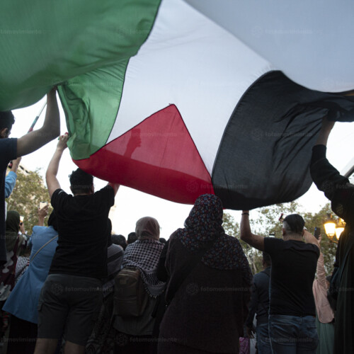 Declaración sobre Gaza de los Centros e Institutos Universitarios de Derechos Humanos
