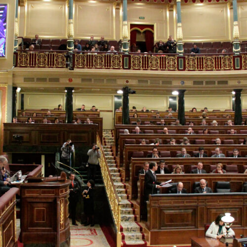 El Congrés dels Diputats demana al Govern espanyol una estratègia de drets humans per a donar continuïtat al Pla de Drets Humans