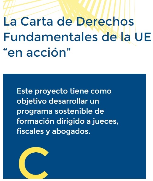 El termini per completar l’enquesta sobre l’aplicació de la Carta de Drets Fonamentals de la Unió Europea s’amplia fins el 6 de març