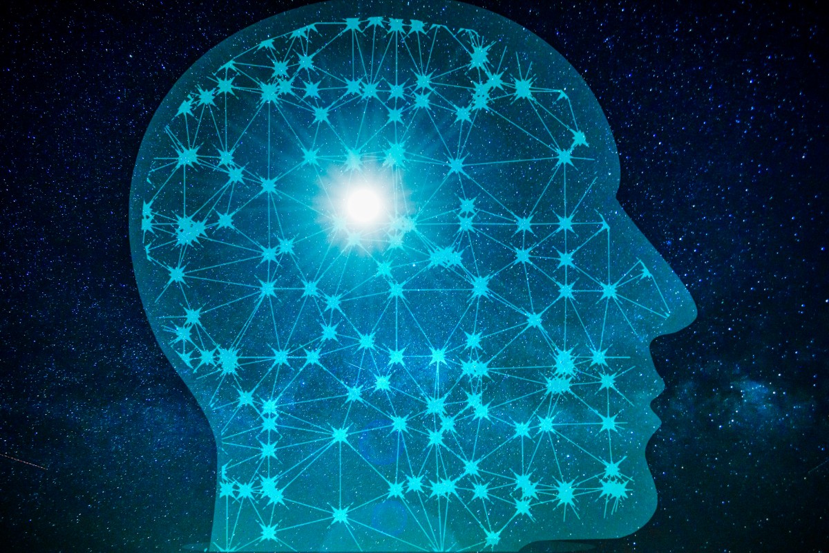 La relatora especial de l’ONU sobre el dret a la privacitat urgeix a actualitzar els principis rectors per al tractament de dades personals informatitzades
