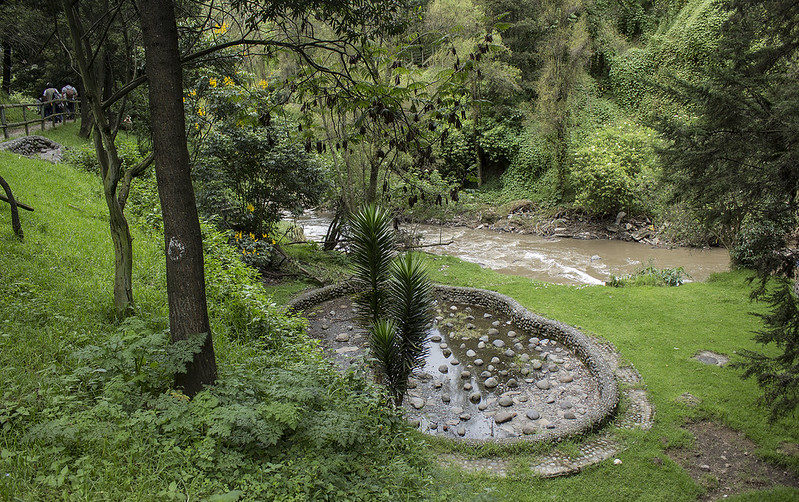 Testimonios en primera persona